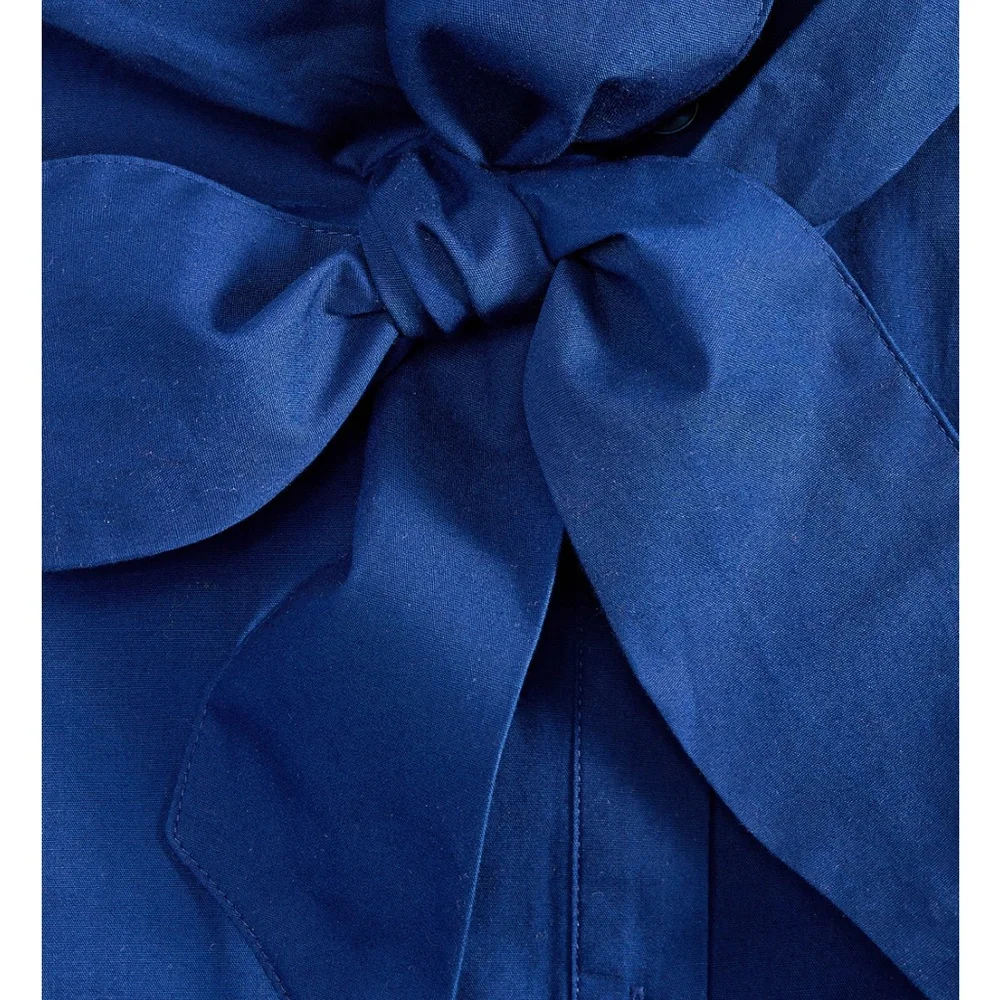 Elegant Blue Sleeveless Shirt Dress - Picture 3 of 3